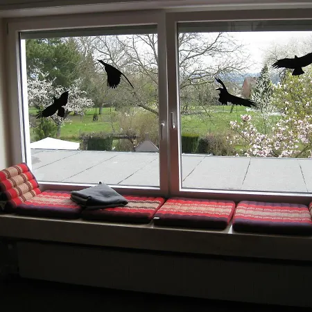 Bella Colonia Vieren * הירט