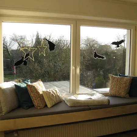 Bella Colonia Vieren