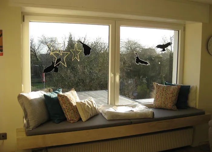 Bella Colonia Vieren